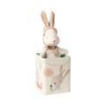 Happy Day Bunny in box - Small