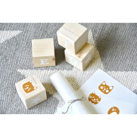 Set Wooden Cubes + vynils