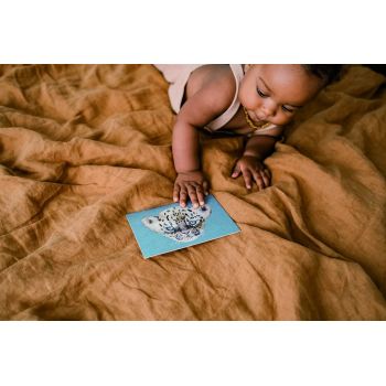 Postcard Winter goat  2