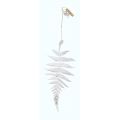 Fern, silver (20cm)