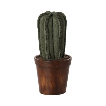 Cactus con macetero (9cm)