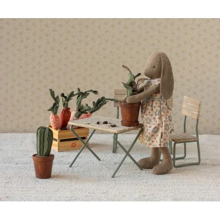 Cactus con macetero (9cm)