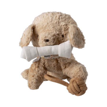 Accesorio juguetes para Mascota