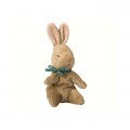 Baby bunny brown, blue ribbon